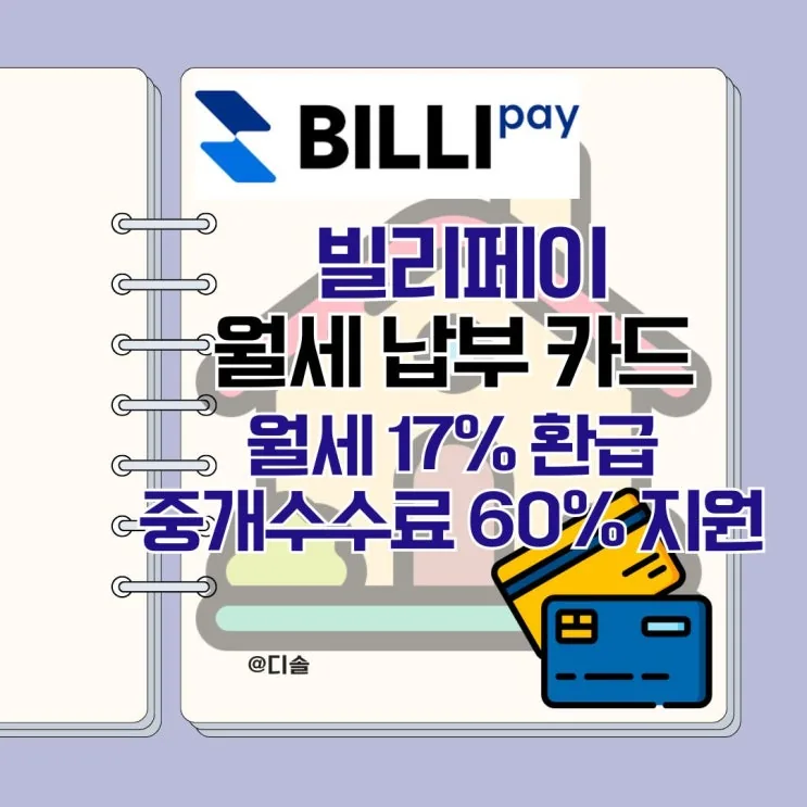 디솔 후기 대표 이미지