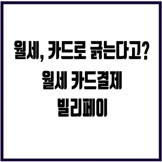 덤앤더머 후기 대표 이미지